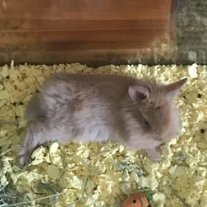 Meet your Posher, Keith